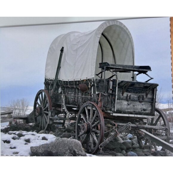 Set Of 4 Western-Themed Postcards Buffalo Bill Covered Wagon Train Gold Mines - Picture 4 of 5